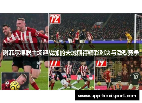 谢菲尔德联主场迎战加的夫城期待精彩对决与激烈竞争